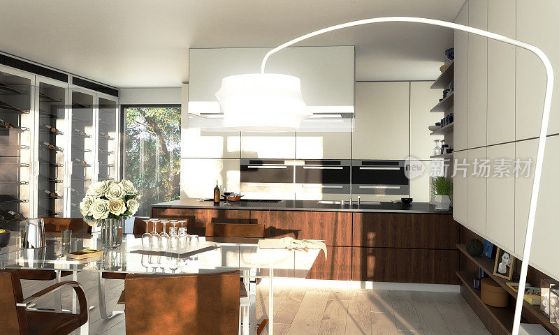 现代厨房阁楼- 3d可视化